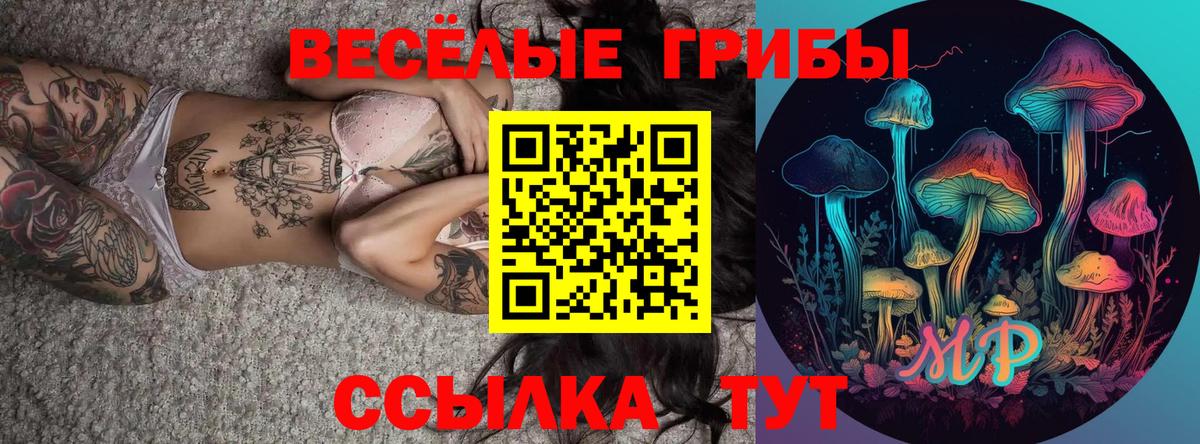 Медногорск  Псилоцибиновые грибы Psilocybe  Галлюциногенные грибы мицелий  Вход с VPN 